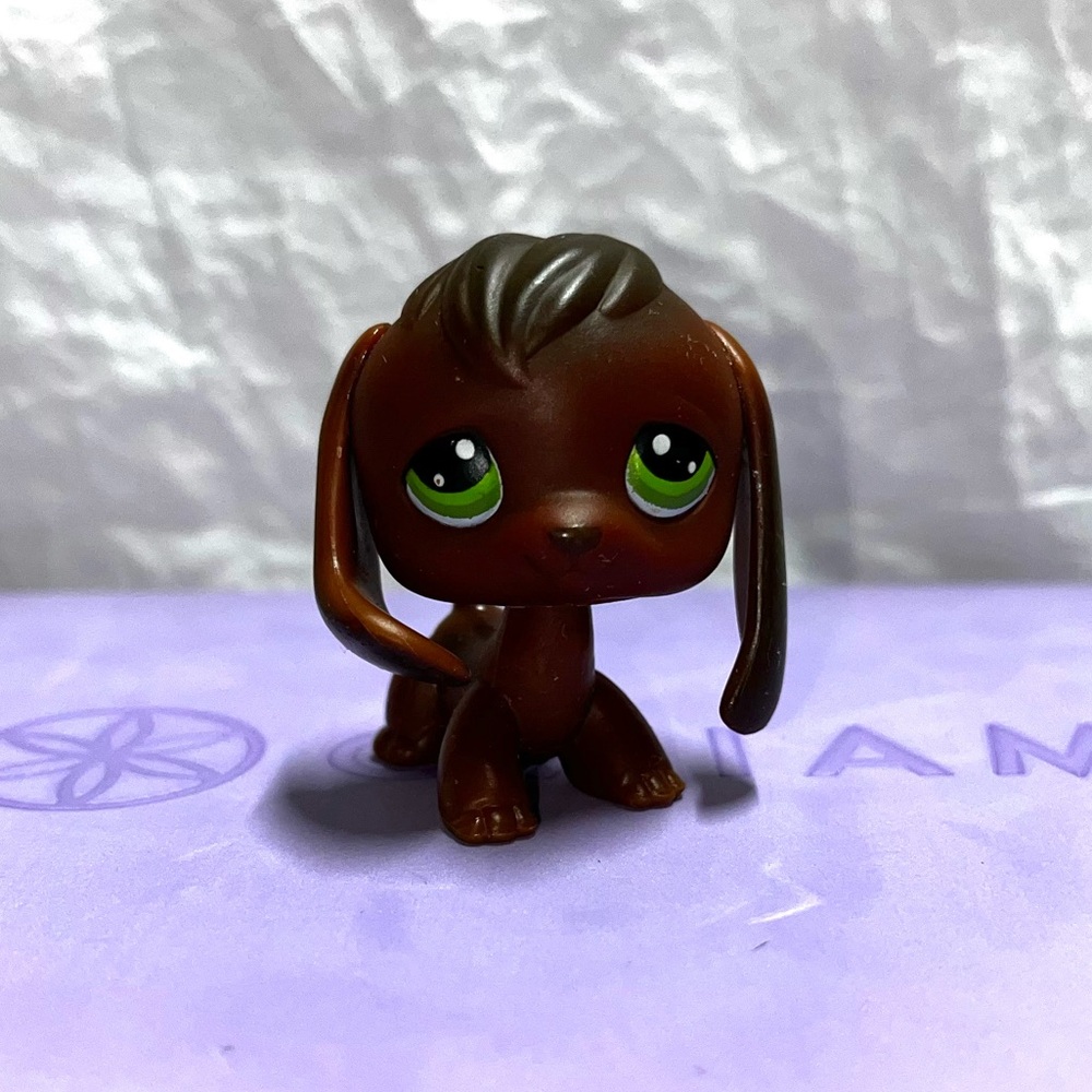 LPS Beagle #77